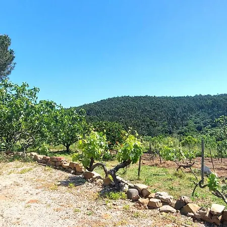 Casa Das Fronteiras Holiday home *